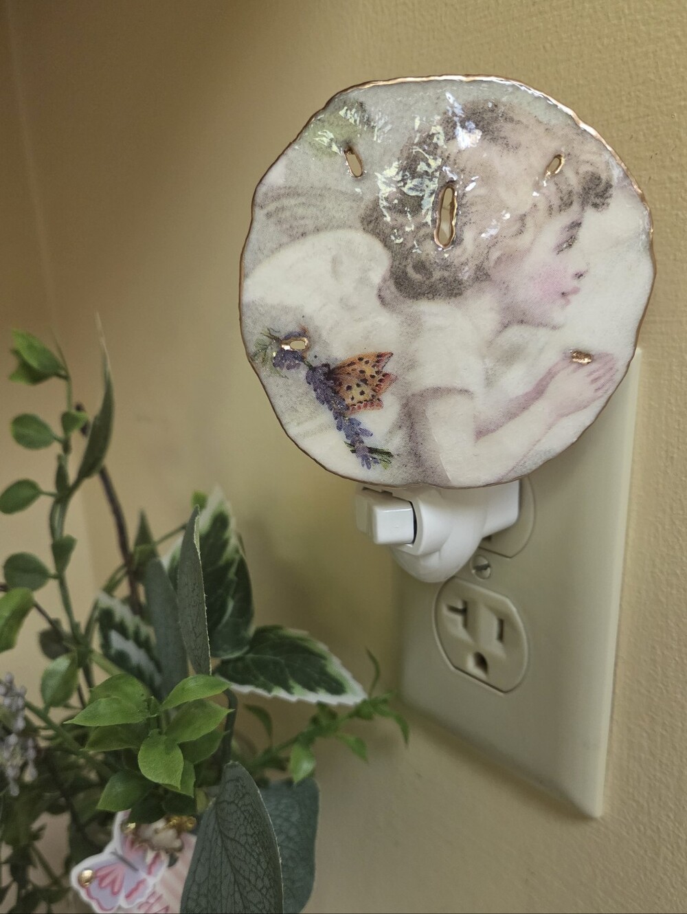 Nite Light Praying Angle Design Sand Dollar
